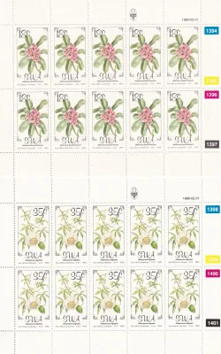 South West Africa 1990 Flowers (Full/Sheets). MNH(**)