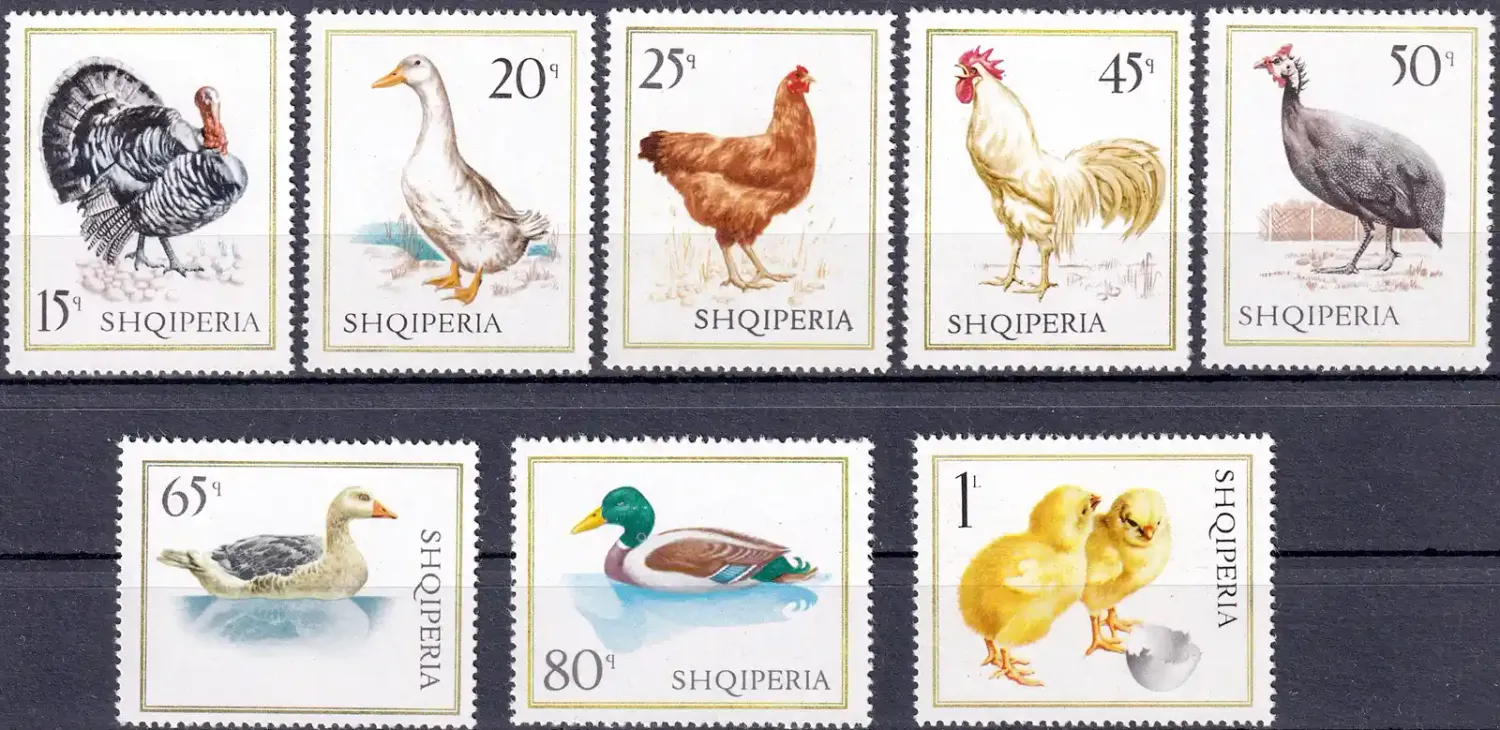 Albania 1967 Birds - Domestic Fowl (8v). MNH(**) Albania 1967 Birds - Domestic Fowl (8v). MNH(**)