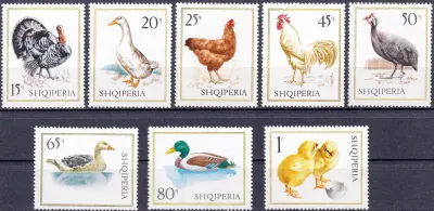 Albania 1967 Birds - Domestic Fowl (8v). MNH(**) Albania 1967 Birds - Domestic Fowl (8v). MNH(**)