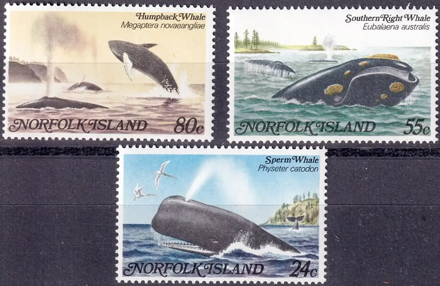 Norfolk Island 1982 Whales (3v). MNH(**) Norfolk Island 1982 Whales (3v). MNH(**)