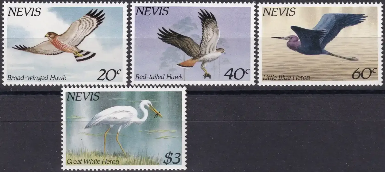 Nevis 1985 Birds - Local Hawks and Herons (v4)-MNH(**)