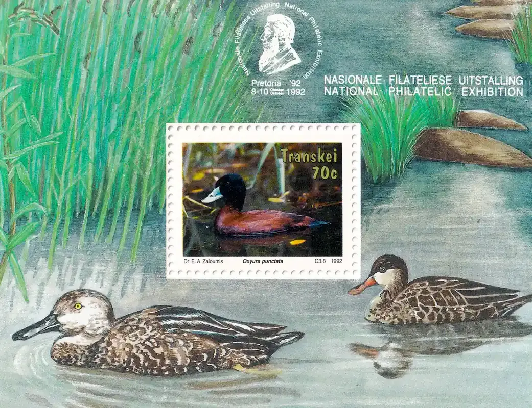 Venda 1992 Birds - Waterbirds (ss/1v), MNH(**) Venda 1992 Birds - Waterbirds (ss/1v), MNH(**)