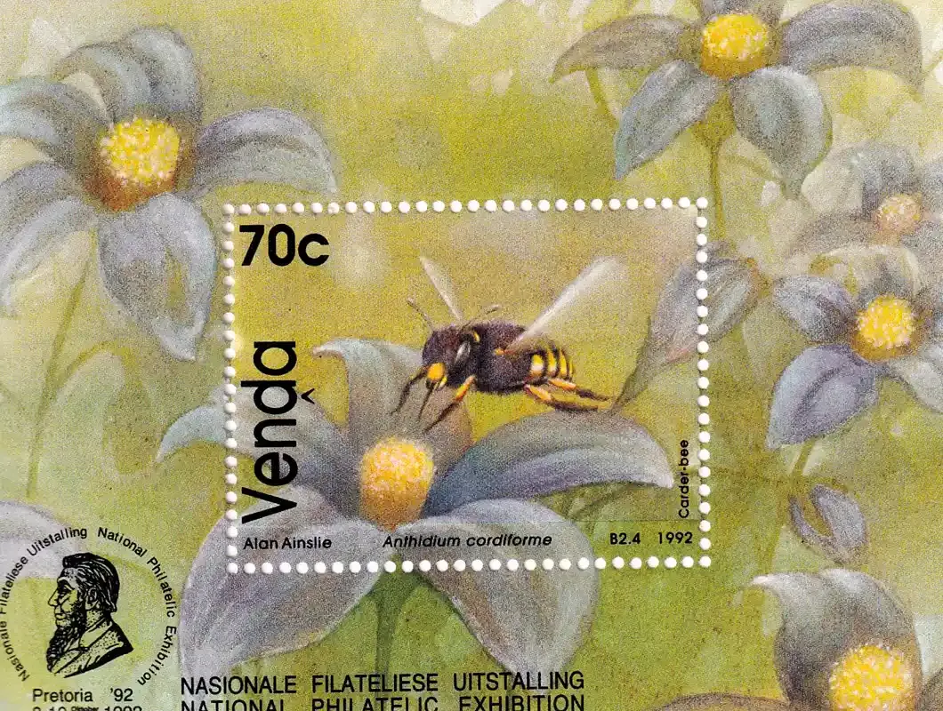 Venda 1992 Insects, Bees (ss/1v), MNH(**) Venda 1992 Insects, Bees (ss/1v), MNH(**)