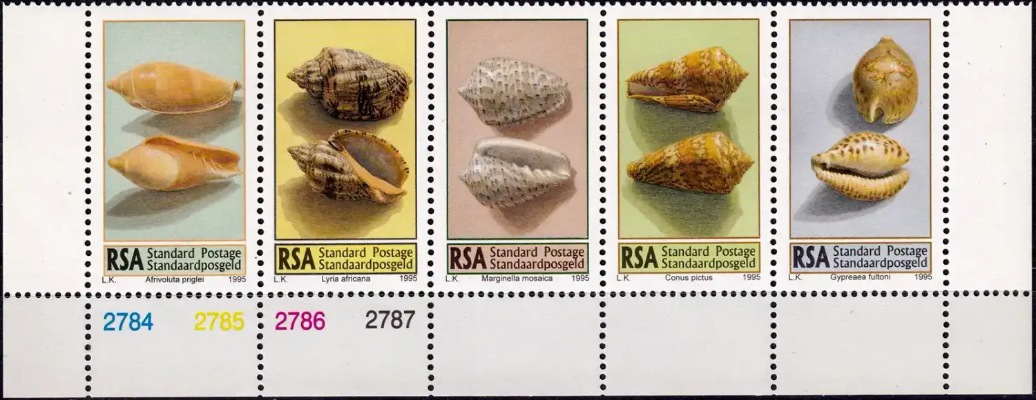 South Africa 1995 Sea Shells (5v)-MNH(**) South Africa 1995 Sea Shells (5v)-MNH(**)