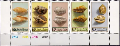 South Africa 1995 Sea Shells (5v)-MNH(**) South Africa 1995 Sea Shells (5v)-MNH(**)