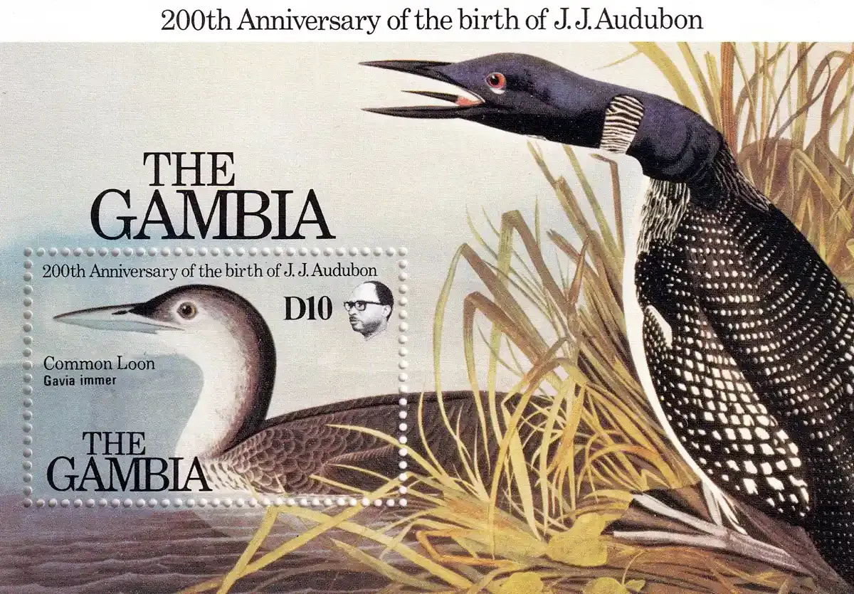 Gambia 1985 Birds - Birth of John J. Audubon (ss/1v)-MNH(**) Gambia 1985 Birds - Birth of John J. Audubon (ss/1v)-MNH(**)