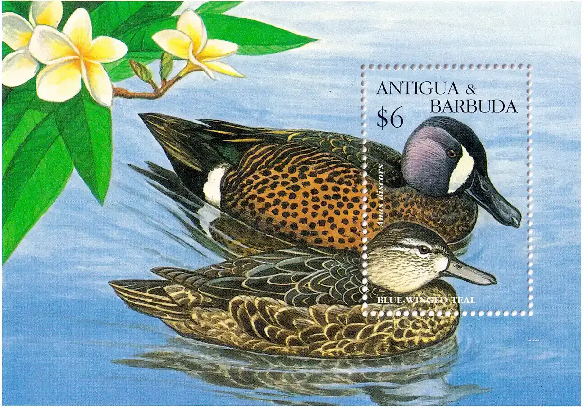 Antigua & Barbuda 1995 Birds, Ducks - (ss/1v). MNH(**) Antigua & Barbuda 1995 Birds, Ducks - (ss/1v). MNH(**)