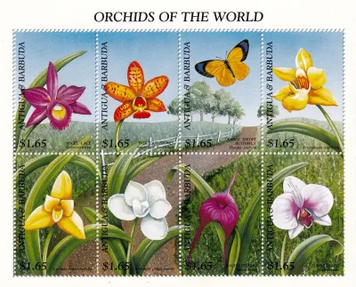 Antigua & Barbuda 1997 Flowers, Orchids - (ss/8v). MNH(**) Antigua & Barbuda 1997 Flowers, Orchids - (ss/8v). MNH(**)