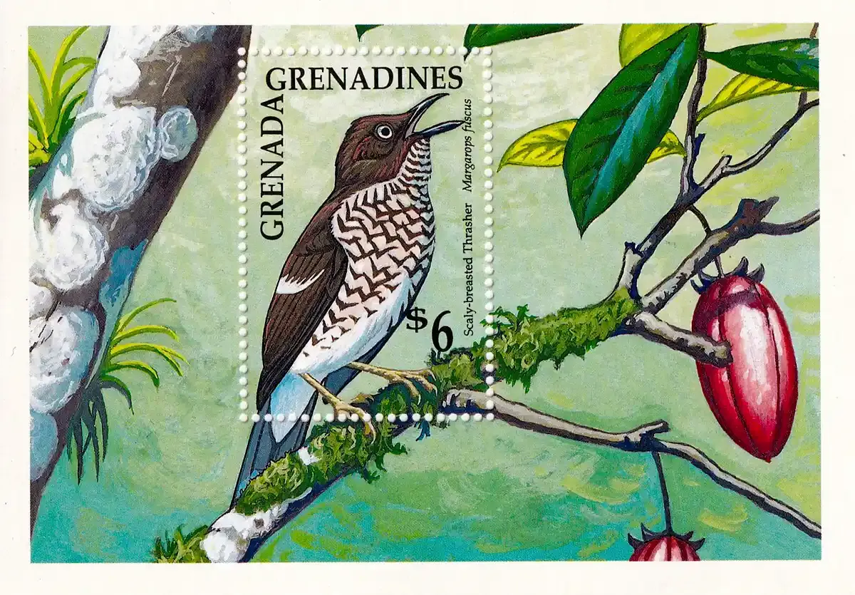 Grenada Grenadines 1990 Birds (ss/1v). MNH(**) Grenada Grenadines 1990 Birds (ss/1v). MNH(**)
