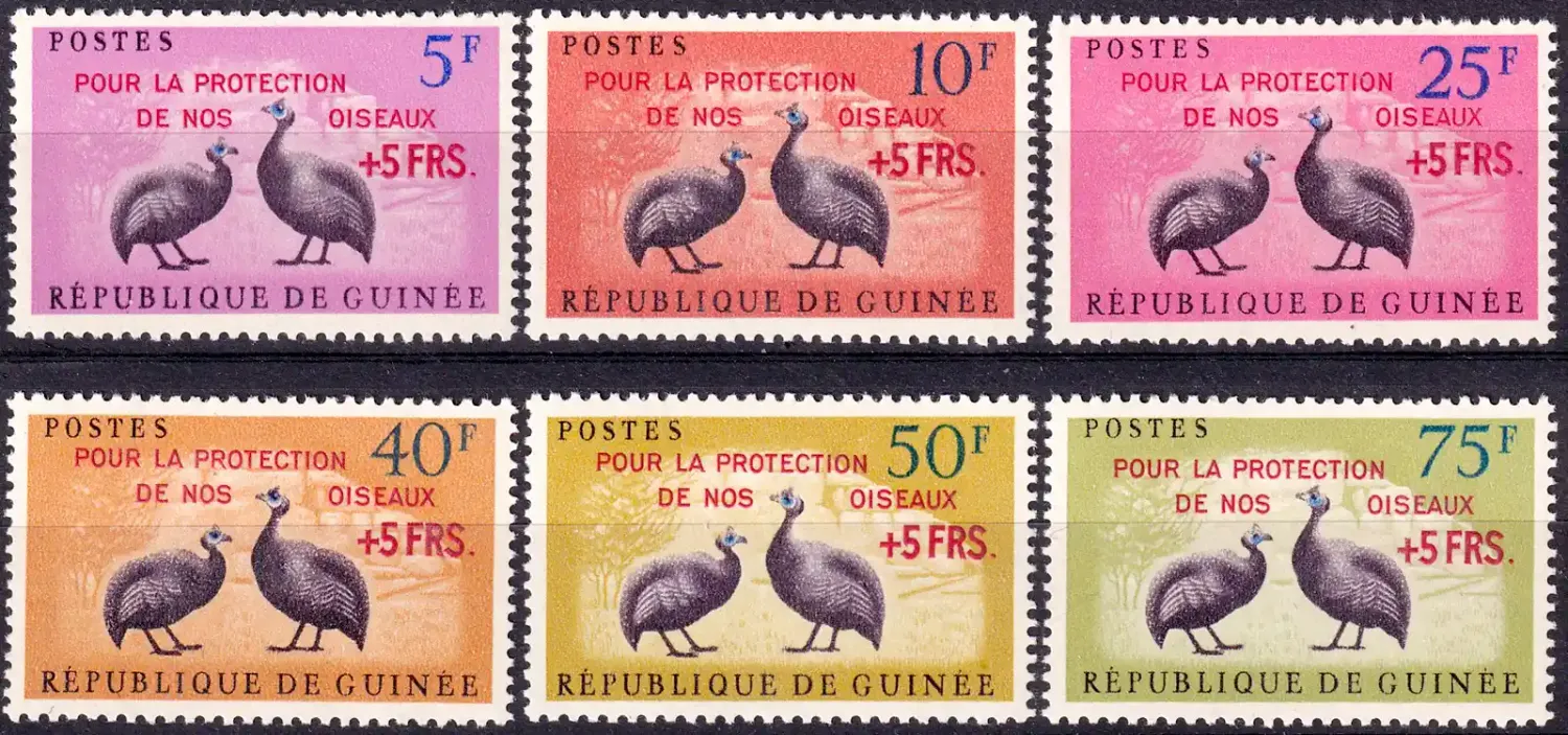 Guinea 1962 Birds - Guineafowl Stamps Overprinted "POUR LA PROTECTION DE NOS OISEAUX" and Surcharged +5 FRS (6v). MNH(**) Guinea 1962 Birds - Guineafowl Stamps Overprinted "POUR LA PROTECTION DE NOS OISEAUX" and Surcharged +5 FRS (6v). MNH(**)