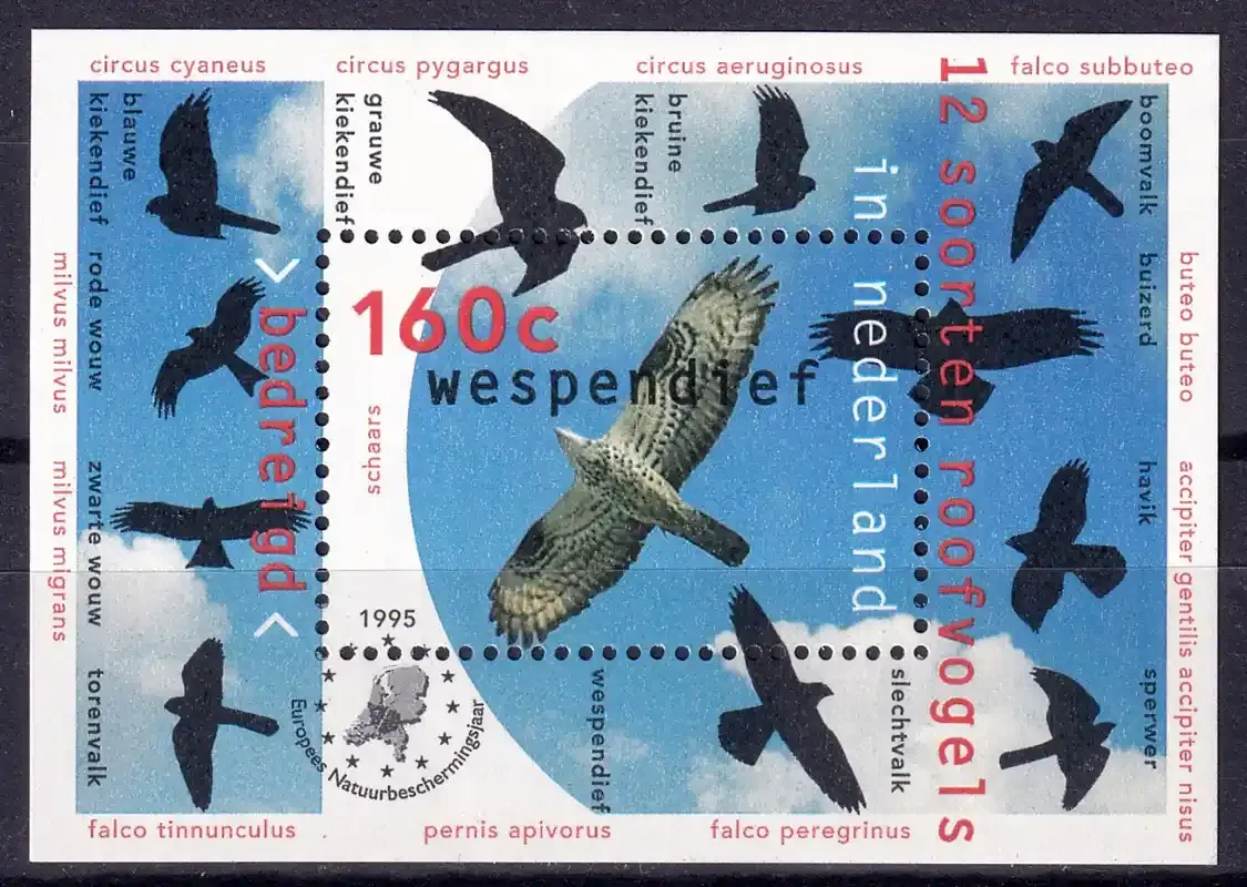 Netherlands 1995 Birds of Prey (ss/1v). MNH(**) Netherlands 1995 Birds of Prey (ss/1v). MNH(**)