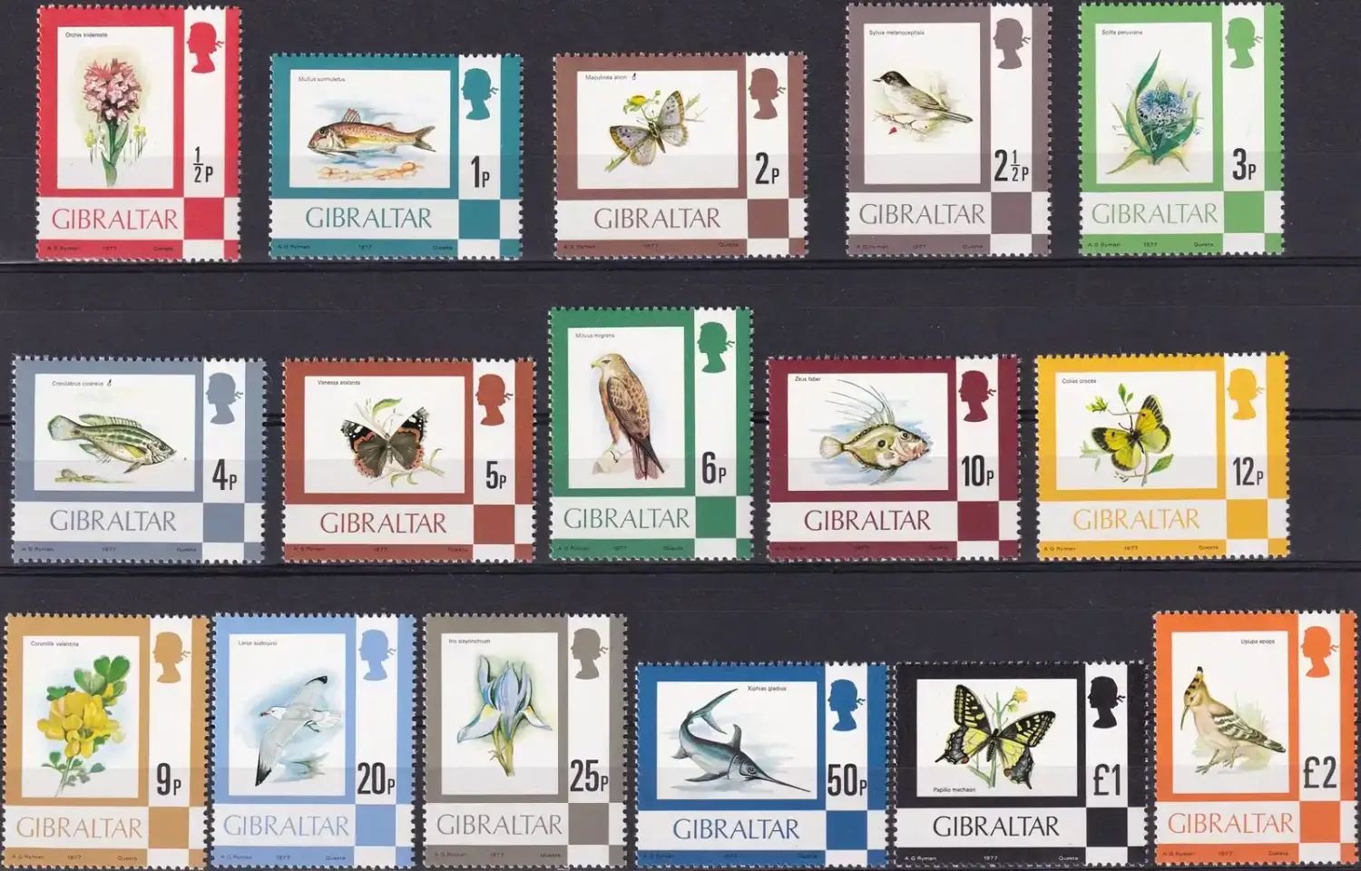 Gibraltar 1977 Definitive set, Fauna: Birds, Butterflies, Flowers, Marine Life (16v). MNH(**)