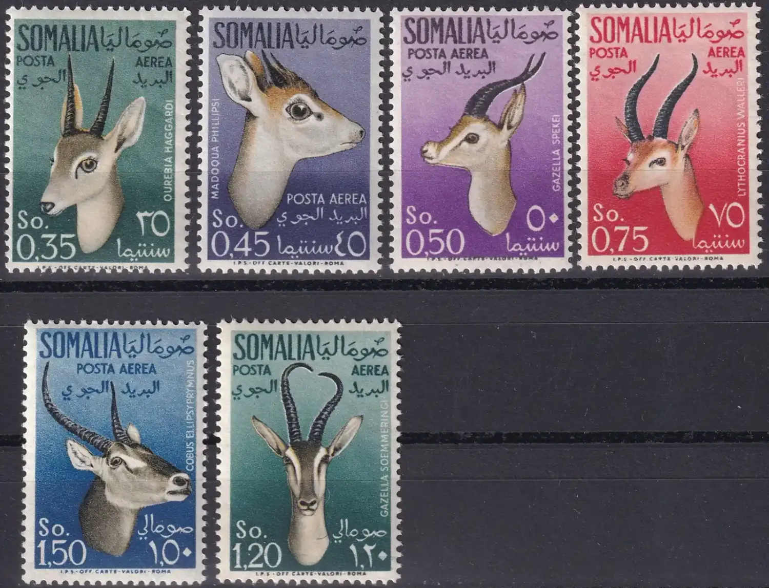 Italian Somaliland 1955 Airmail: Mammals, Small Antilopes. MNH (**)