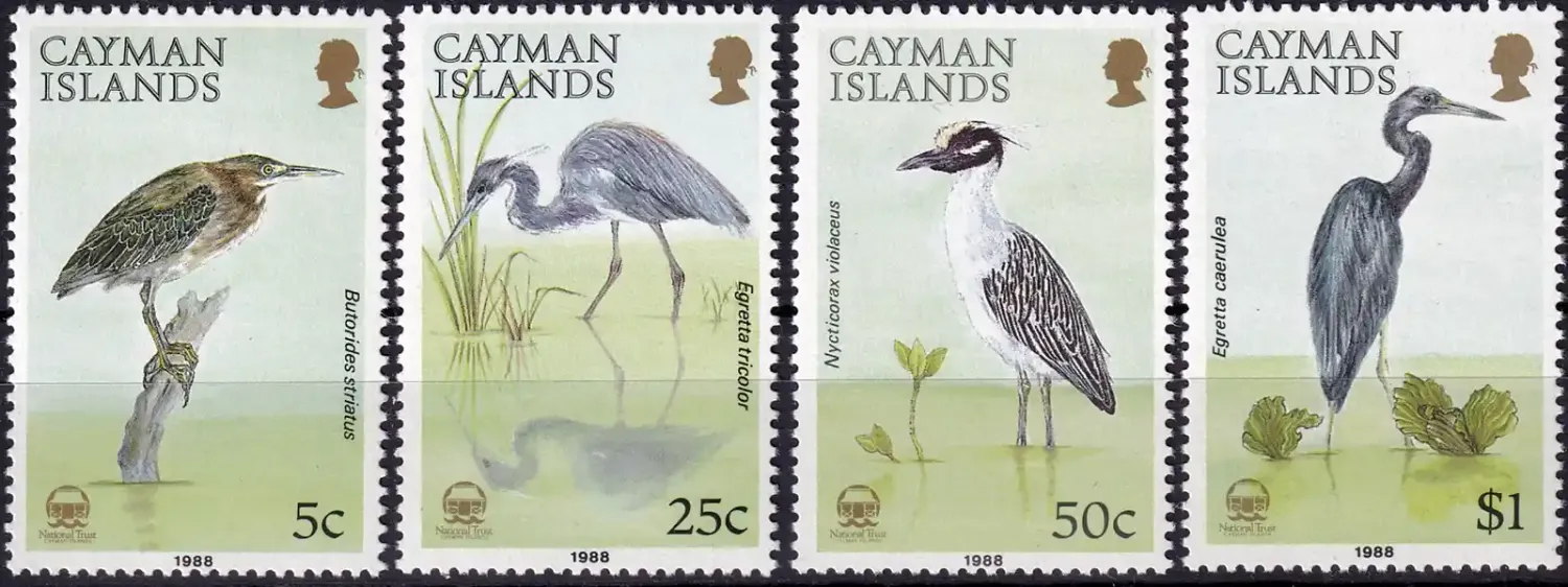Cayman Islands 1988 Birds - Herons (4v)-MNH(**) Cayman Islands 1988 Birds - Herons (4v)-MNH(**)