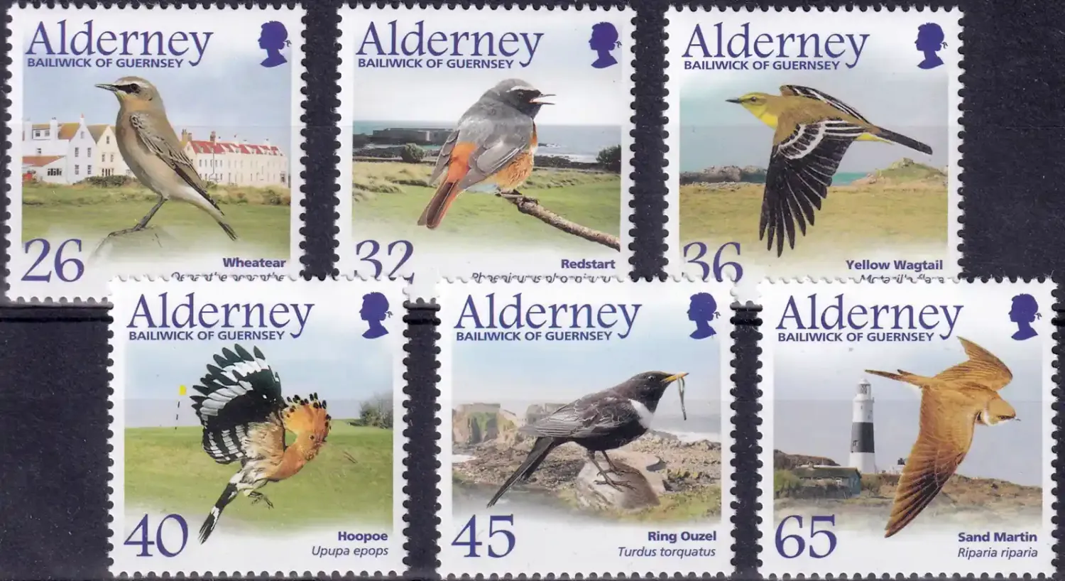 Alderney 2004 Migrating Birds - Passerines (6v) MNH(**)