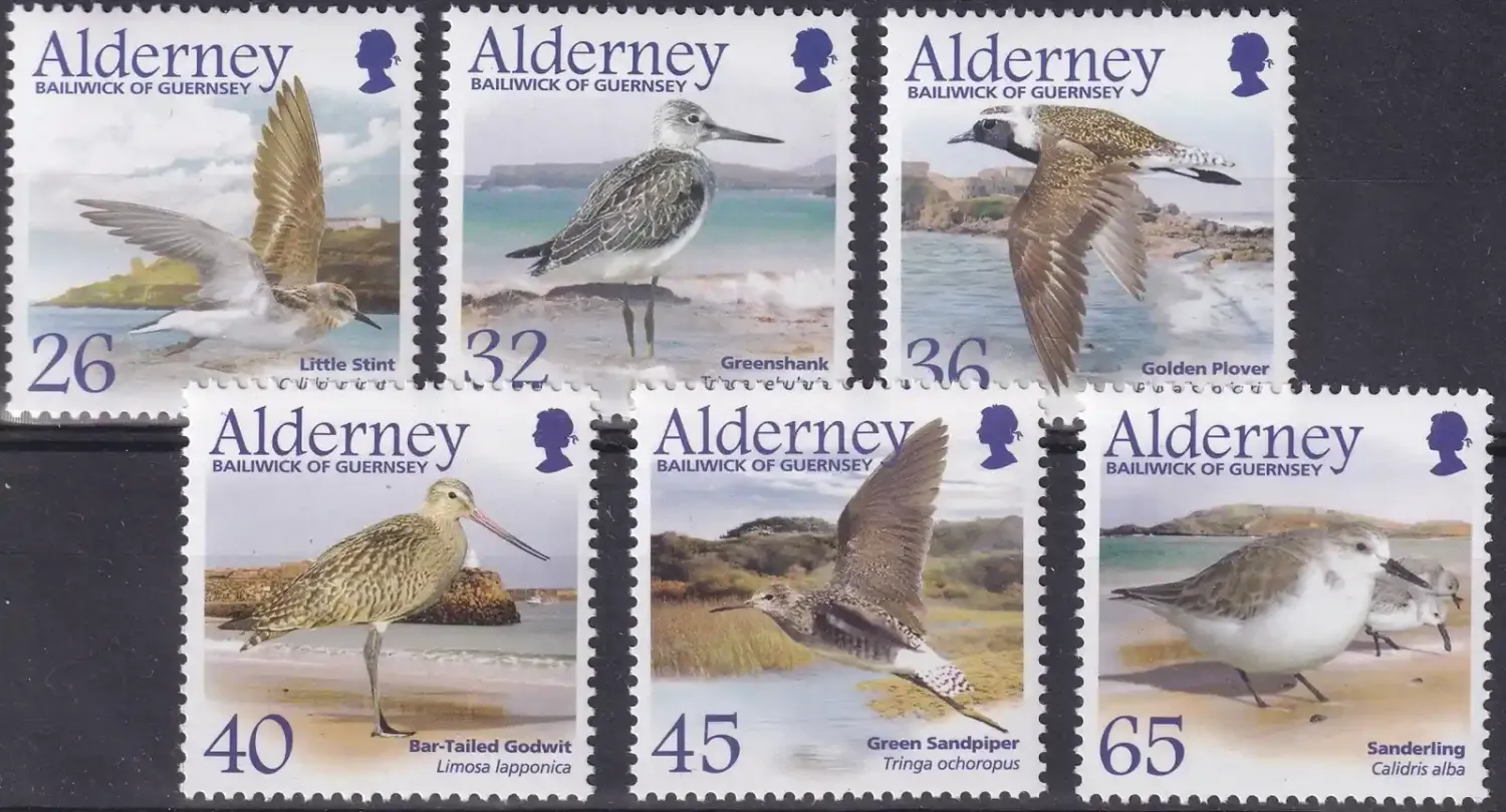 Alderney 2005 Migrating Birds - Waders (6v) MNH(**)