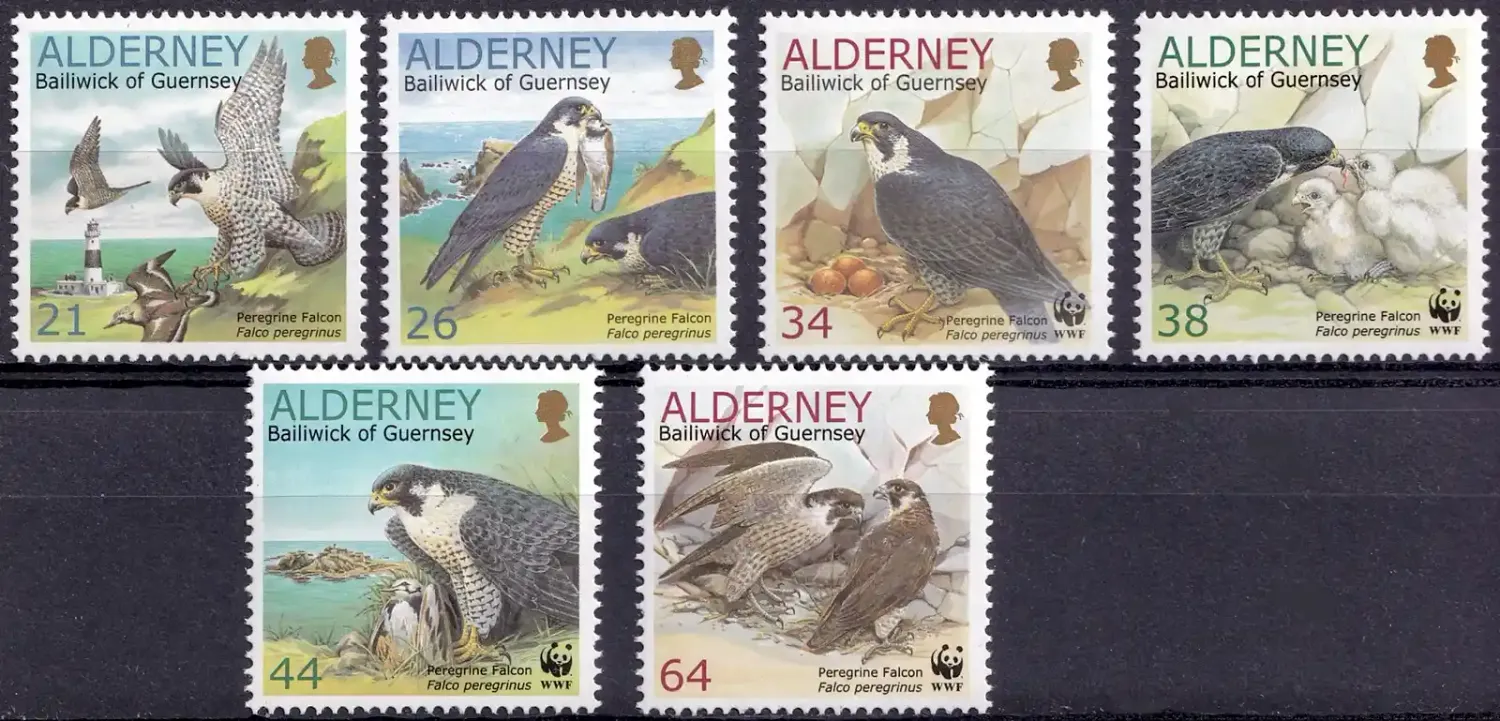 Alderney 2000 Birds (WWF) - The Peregrine Falcon (6v) MNH(**) Alderney 2000 Birds (WWF) - The Peregrine Falcon (6v) MNH(**)