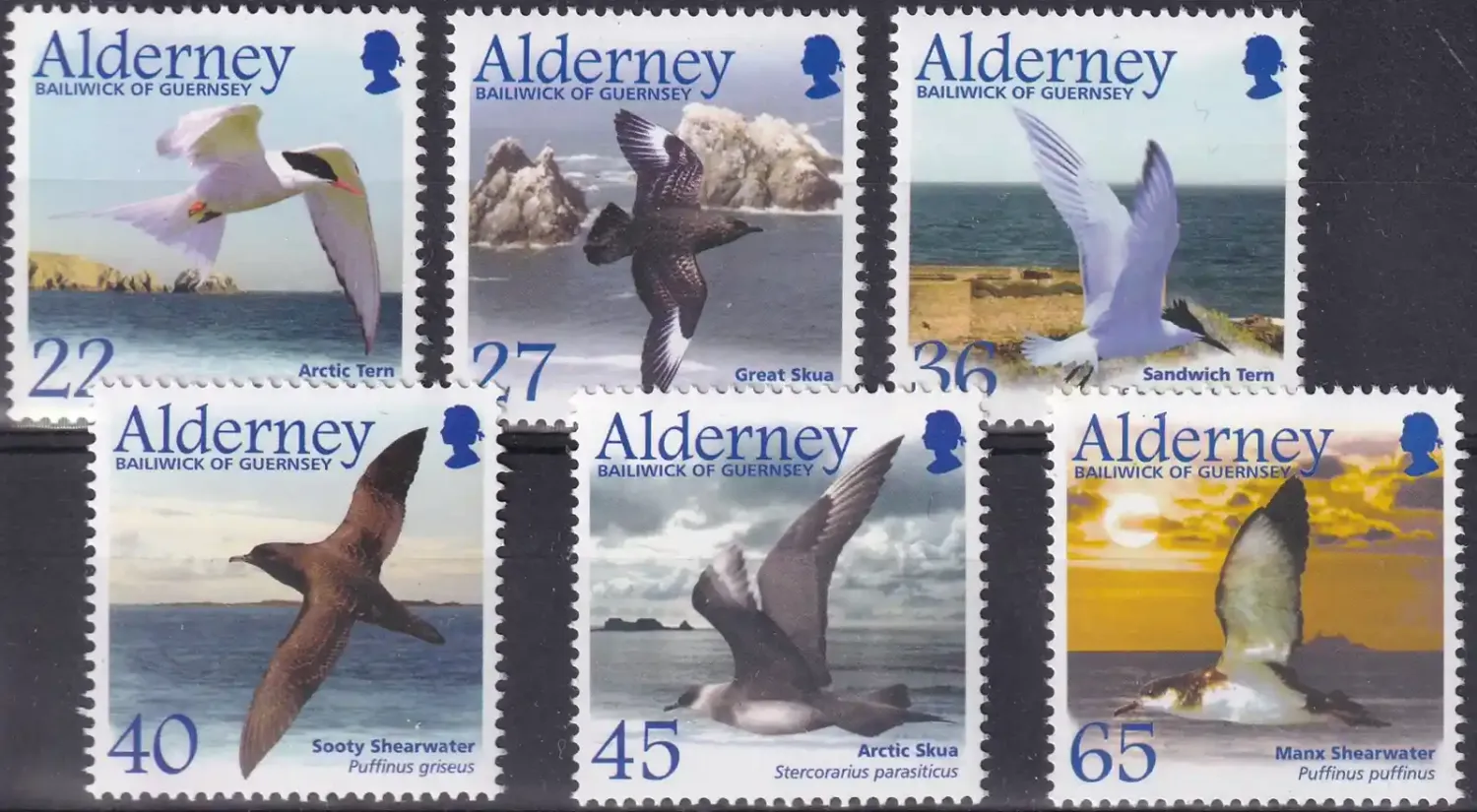 Alderney 2003 Migrating Birds - Seabirds (6v) MNH(**) Alderney 2003 Migrating Birds - Seabirds (6v) MNH(**)