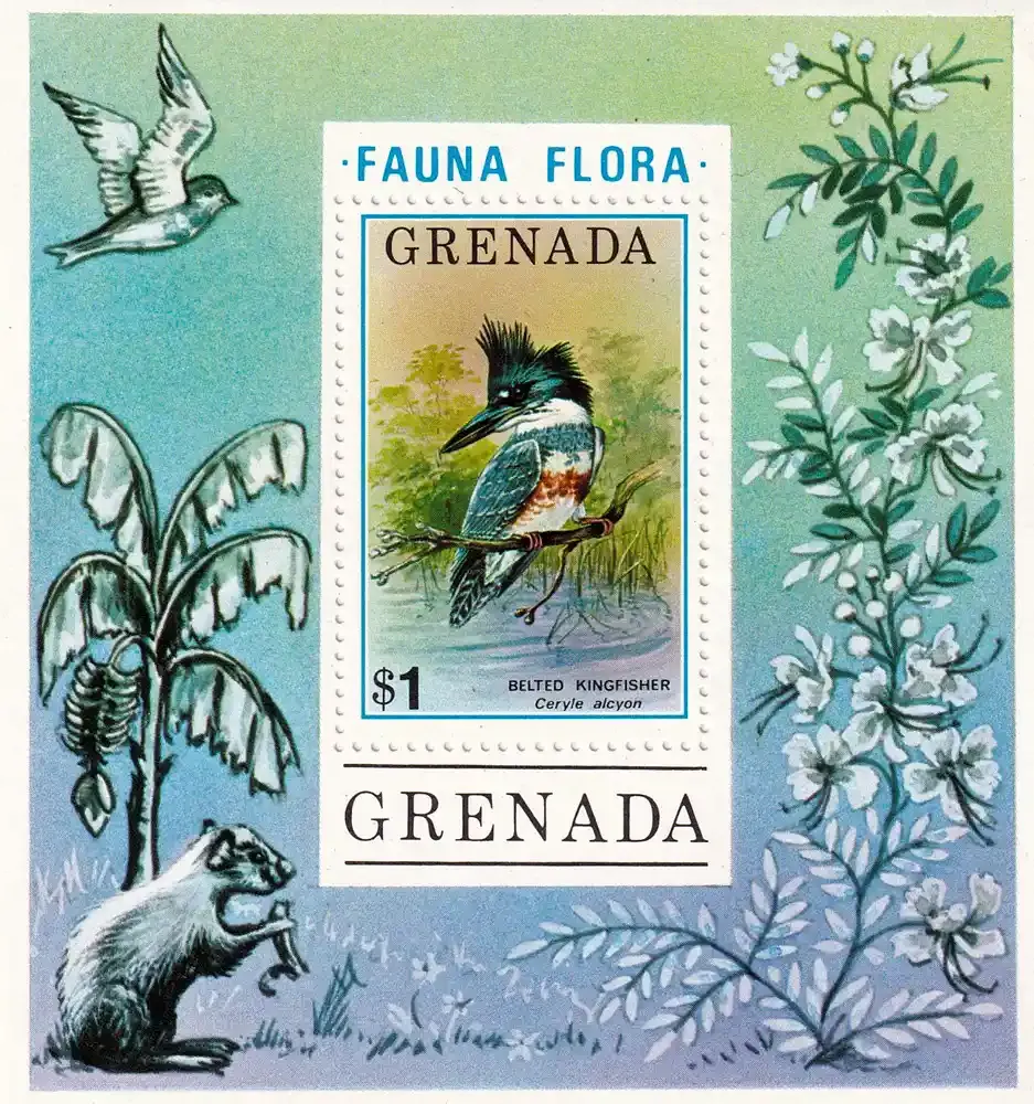 Grenada 1976 Birds (ss/1v) - MNH(**) Grenada 1976 Birds (ss/1v) - MNH(**)