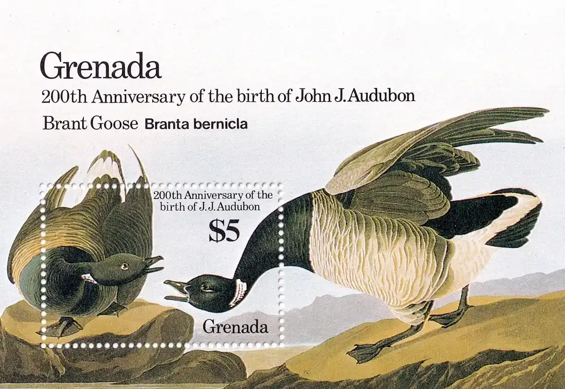Grenada 1986 Birds - Anniv of the Birth of John J. Audubon (4v) - MNH(**) Grenada 1986 Birds - Anniv of the Birth of John J. Audubon (4v) - MNH(**)