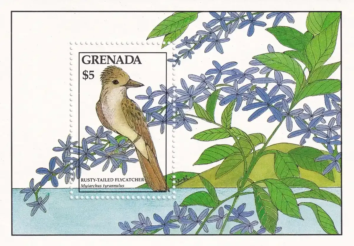 Grenada 1988 Birds (ss/1v) - MNH(**) Grenada 1988 Birds (ss/1v) - MNH(**)