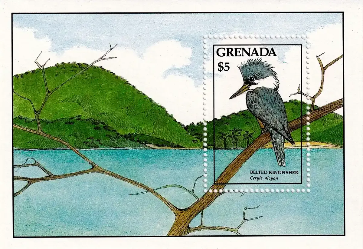 Grenada 1988 Birds (ss/1v) - MNH(**)