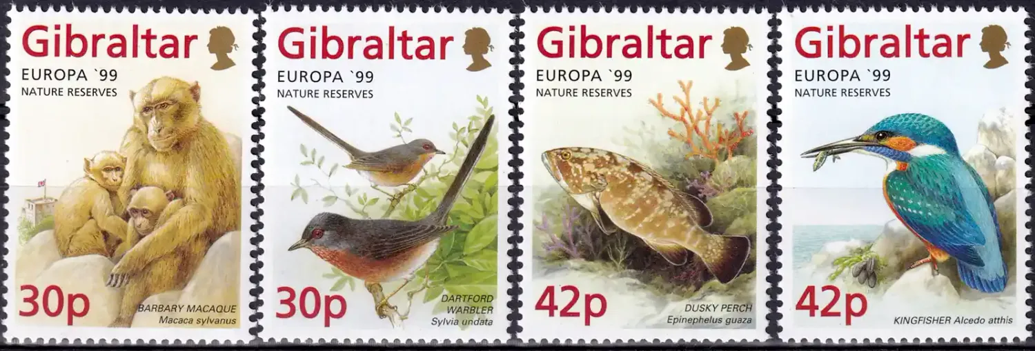 Gibraltar 1999 EUROPA Stamps - Nature Reserves and Parks. Birds, Mammals, Marine Life (4v). MNH(**) Gibraltar 1999 EUROPA Stamps - Nature Reserves and Parks. Birds, Mammals, Marine Life (4v). MNH(**)