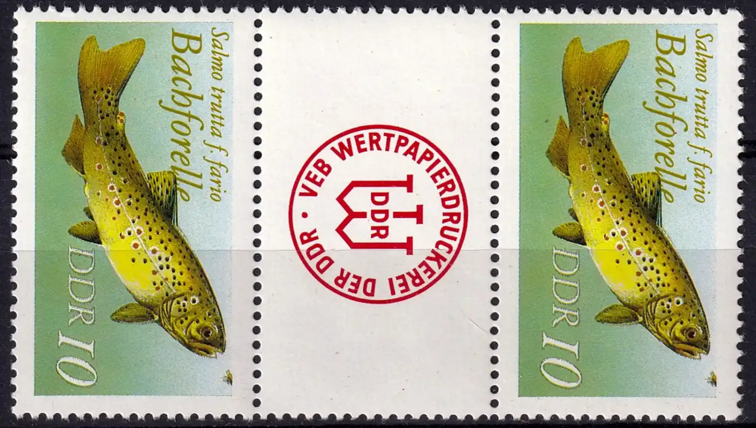 Germany East (DDR) 1987 Freshwater Fish "Salmo trutta fario - Without '1987' Inscription" (2v). MNH(**) Germany East (DDR) 1987 Freshwater Fish "Salmo trutta fario - Without '1987' Inscription" (2v). MNH(**)