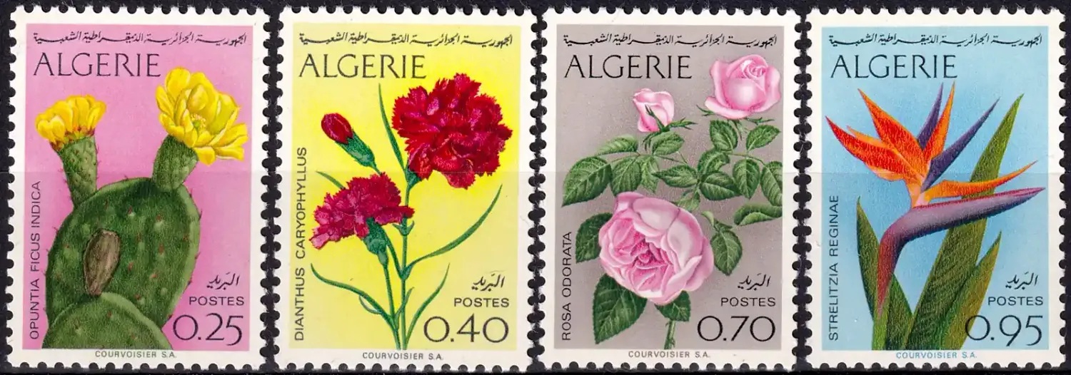 Algeria 1969 Algerian Flowers. Roses, Sterlitzia, Prickly Pear (4v) MNH(**)