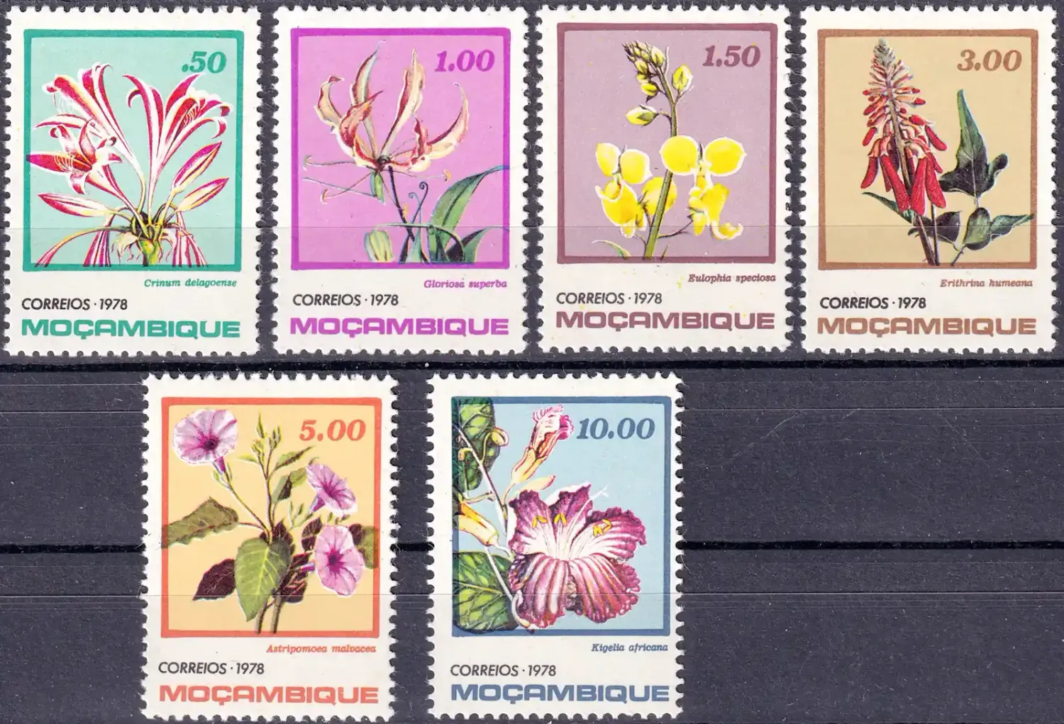 Mozambique 1978 Flowers (6v) MNH(**) Mozambique 1978 Flowers (6v) MNH(**)