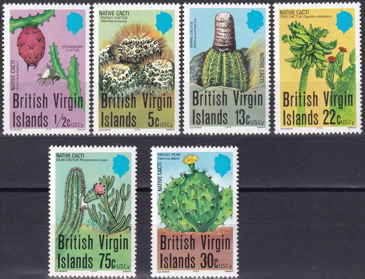 British Virgin Islands 1979 Cactuses, Prickly Pear, Strawberry Cactus (6v)-MNH(**) British Virgin Islands 1979 Cactuses, Prickly Pear, Strawberry Cactus (6v)-MNH(**)