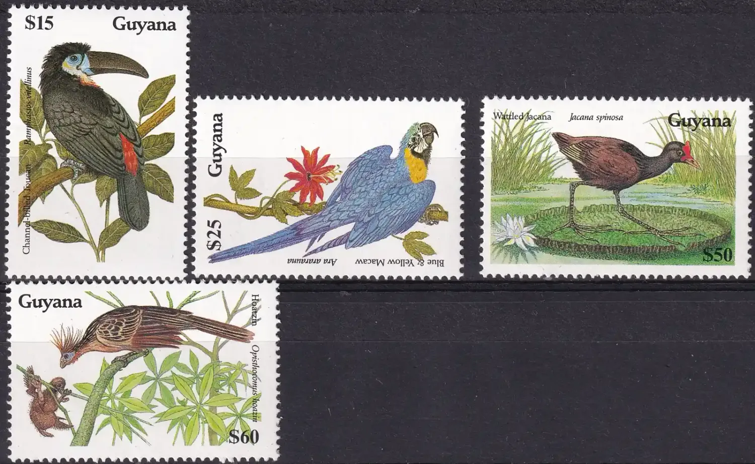 Guyana 1990 Birds. (4v) MNH(**) Guyana 1990 Birds. (4v) MNH(**)