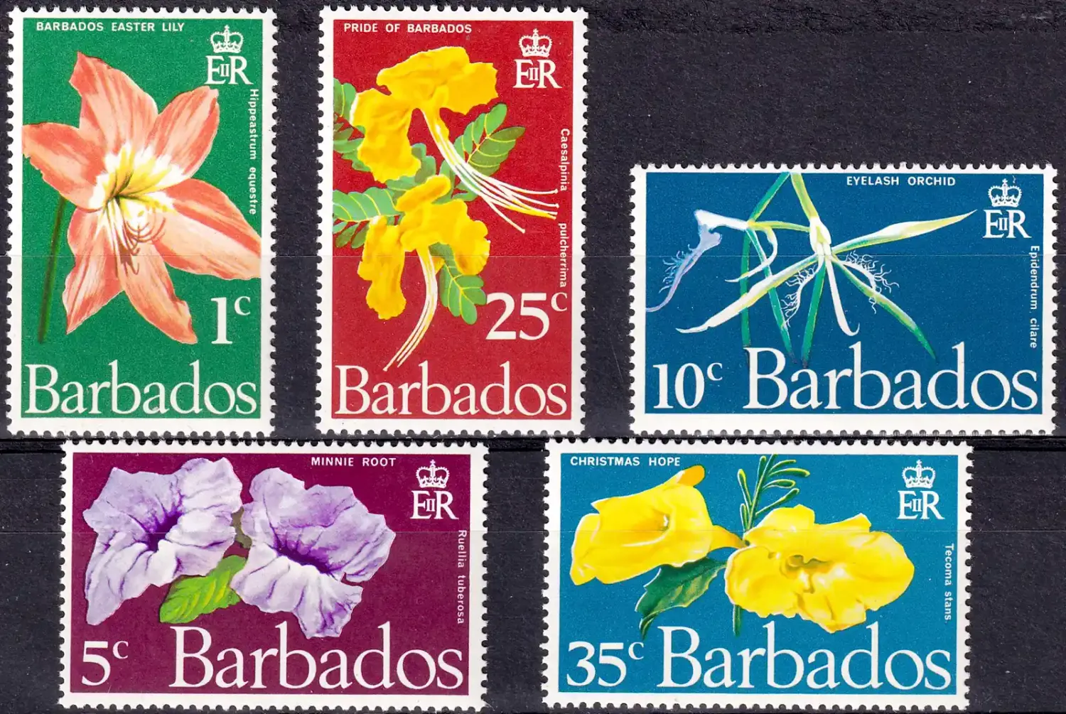 Barbados 1970 Flowers (5v). MNH(**) Barbados 1970 Flowers (5v). MNH(**)