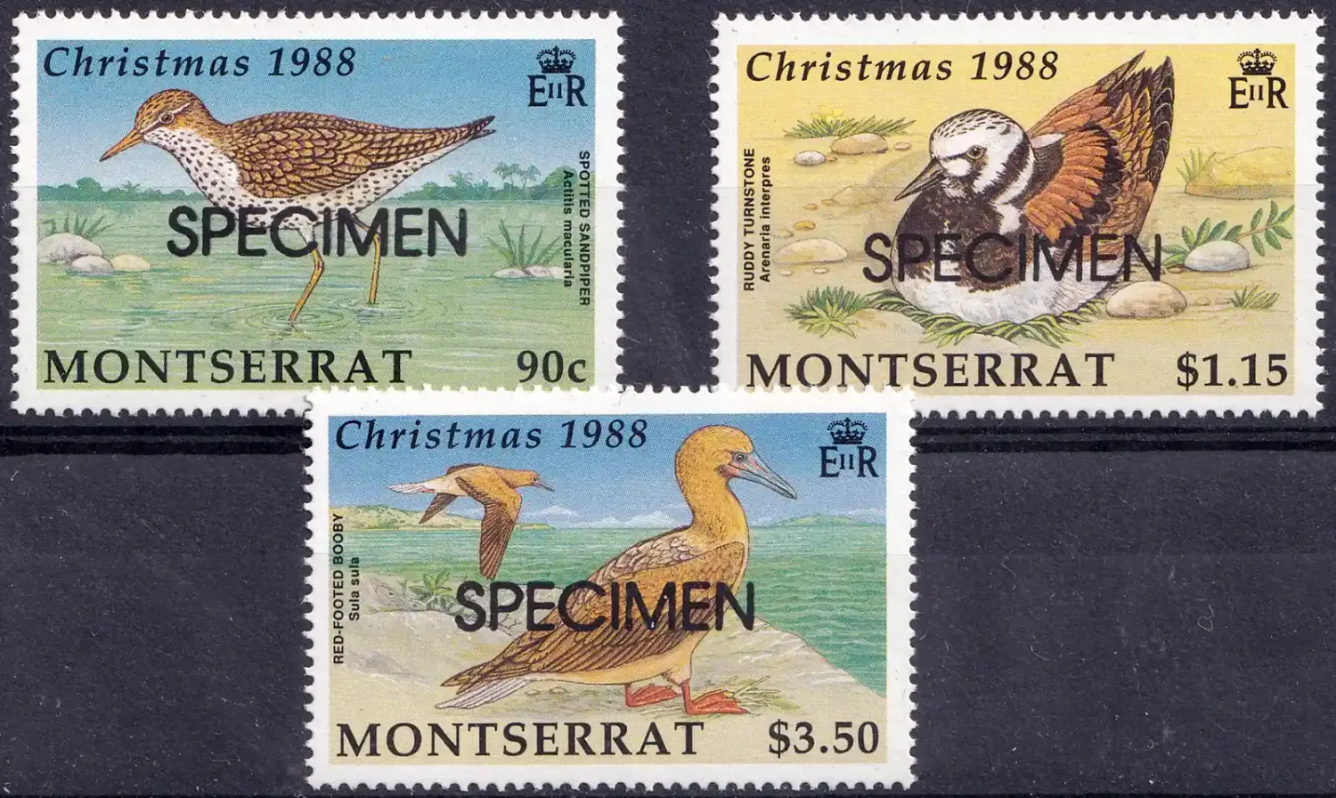 Montserrat 1988 Christmas - Birds (SPECIMEN) (3v) - MNH(**) Montserrat 1988 Christmas - Birds (SPECIMEN) (3v) - MNH(**)