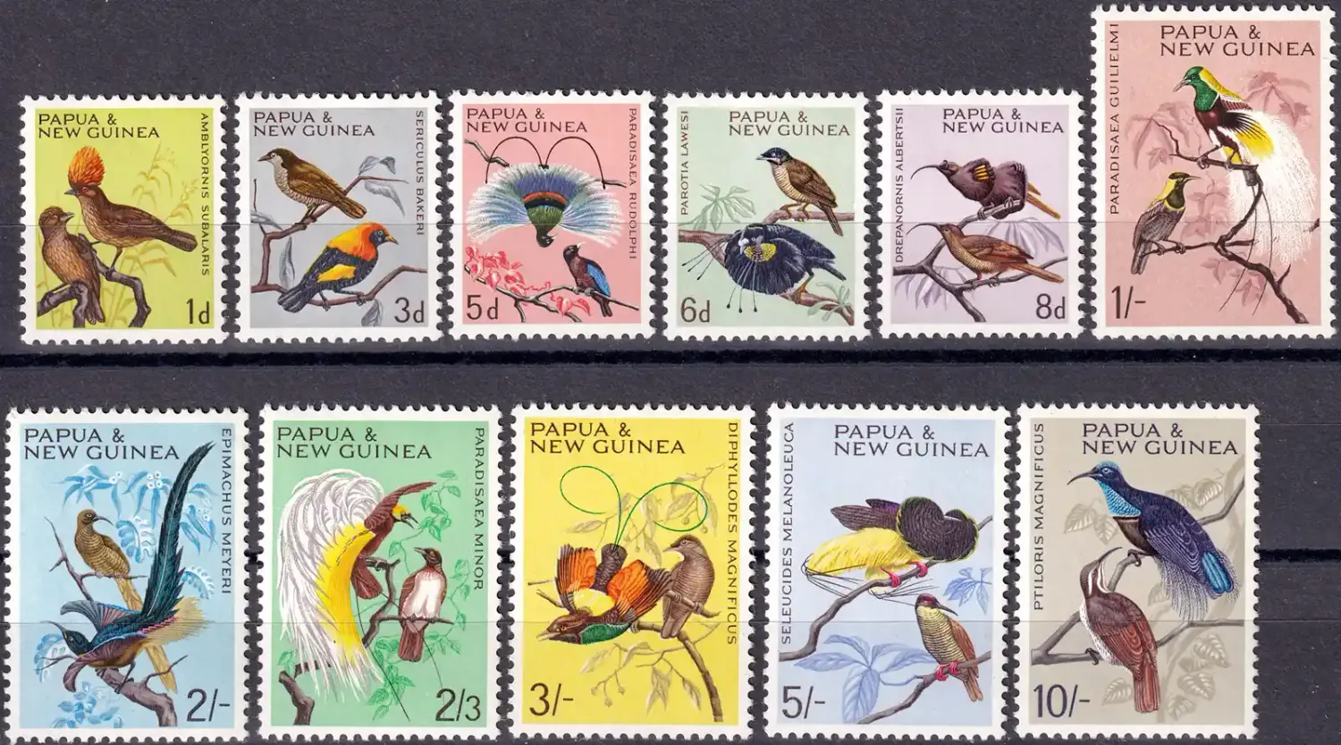 Papua New Guinea 1964 Birds (11v) MNH(**) Papua New Guinea 1964 Birds (11v) MNH(**)