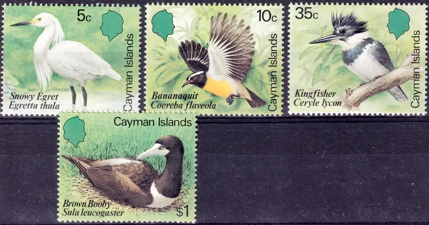 Cayman Islands 1984 Birds (4v)-MNH(**) Cayman Islands 1984 Birds (4v)-MNH(**)