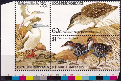 Cocos (Keeling) Islands 1985 Birds of Cocos Islands (3v). MNH(**) Cocos (Keeling) Islands 1985 Birds of Cocos Islands (3v). MNH(**)