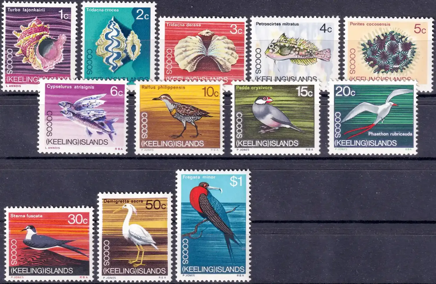 Cocos (Keeling) Islands 1969 Decimal Currency - Animals of the Cocos Islands (12v). MNH(**) Cocos (Keeling) Islands 1969 Decimal Currency - Animals of the Cocos Islands (12v). MNH(**)