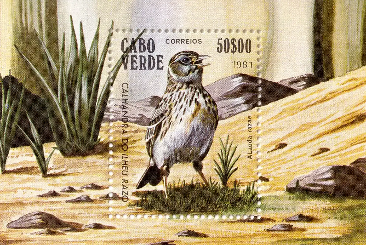 Cabo Verde 1981 Birds (ss/1v)-MNH(**) Cabo Verde 1981 Birds (ss/1v)-MNH(**)