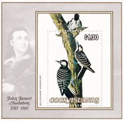 Cook Islands 1985 Birds - Birth of John J. Audubon (ss/1v). MNH(**) Cook Islands 1985 Birds - Birth of John J. Audubon (ss/1v). MNH(**)