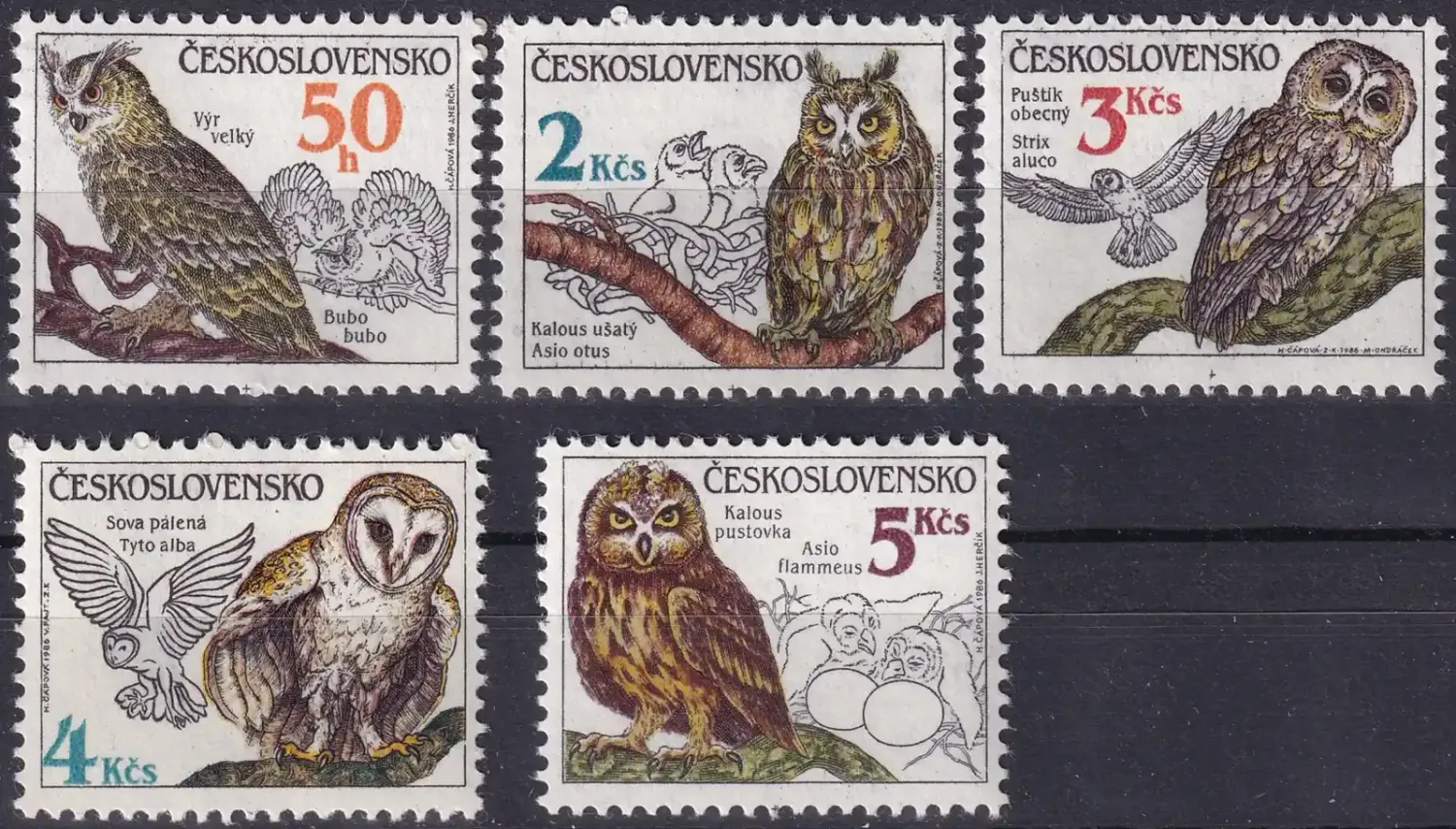 Czechoslovakia 1986 Birds, Owls (5v). MNH(**) Czechoslovakia 1986 Birds, Owls (5v). MNH(**)
