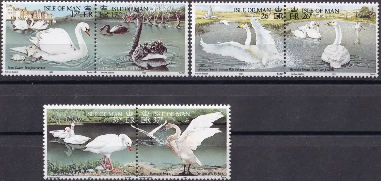 Isle of Man 1991 Birds - Swans (6v) MNH(**) Isle of Man 1991 Birds - Swans (6v) MNH(**)