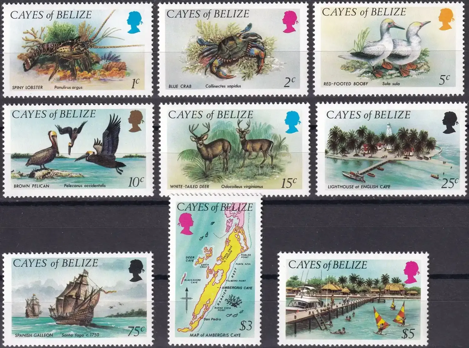 Cayes of Belize 1984 Fauna & Landscapes. Birds, Ships, Mammals, Marine Life, Maps (9v). MNH(**) Cayes of Belize 1984 Fauna & Landscapes. Birds, Ships, Mammals, Marine Life, Maps (9v). MNH(**)