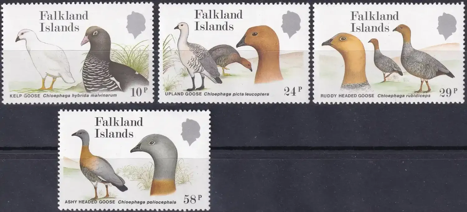 Falkland Islands 1988 Birds, Geese (4v). MNH(**) Falkland Islands 1988 Birds, Geese (4v). MNH(**)