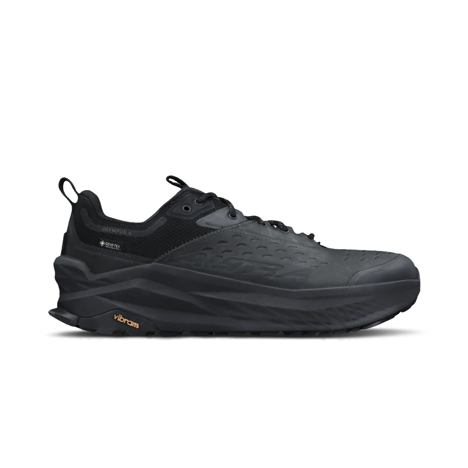 Men's Olympus 6 Hike Low GTX
