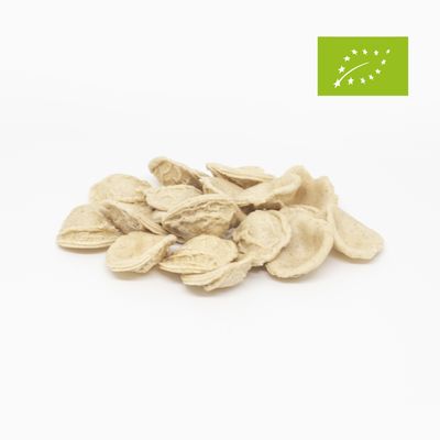 Orecchiette Pasta