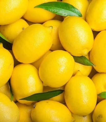 LIMONCELLO CLASS DEPOSIT - AUGUST 27, 2026