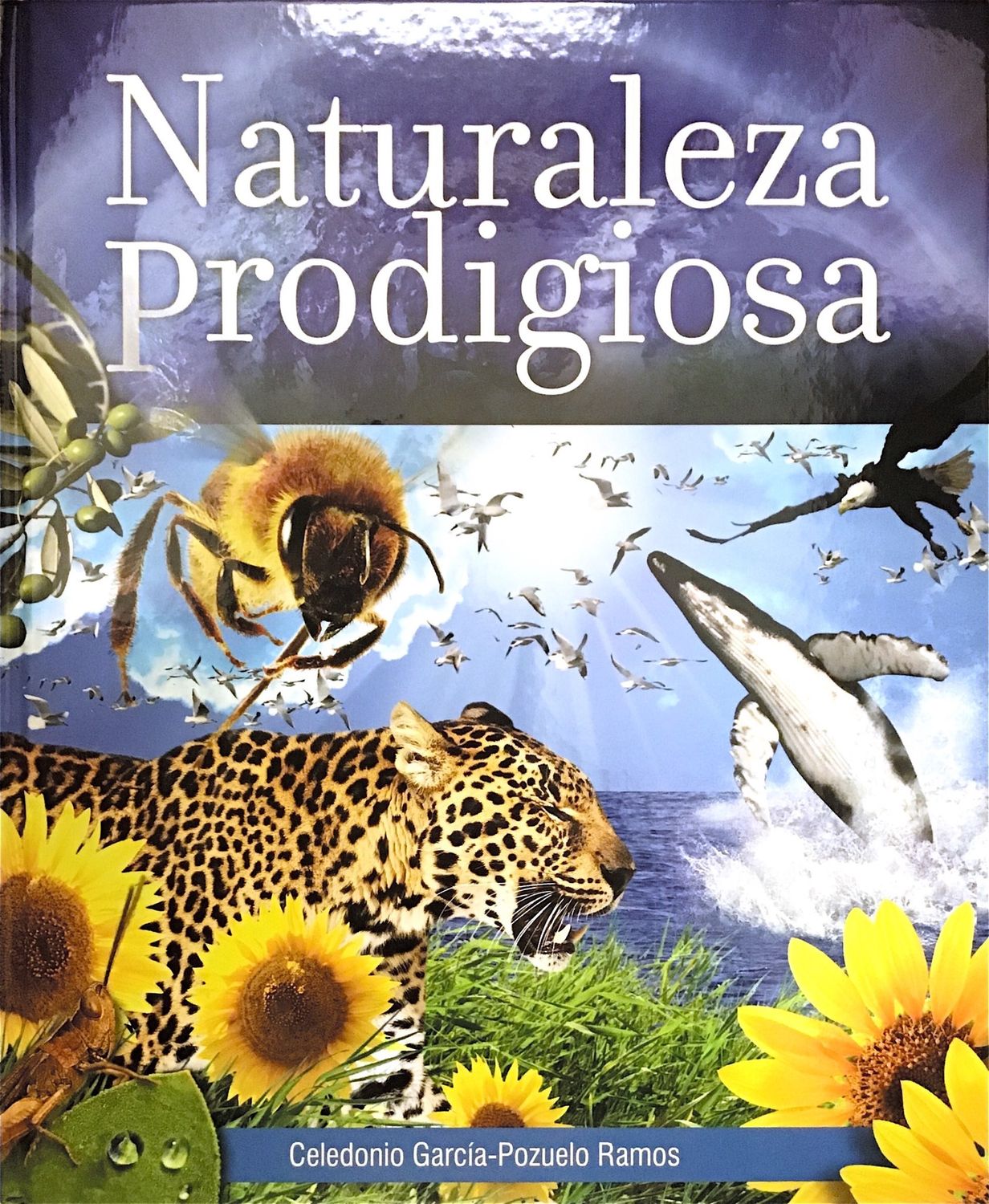 Naturaleza Prodigiosa