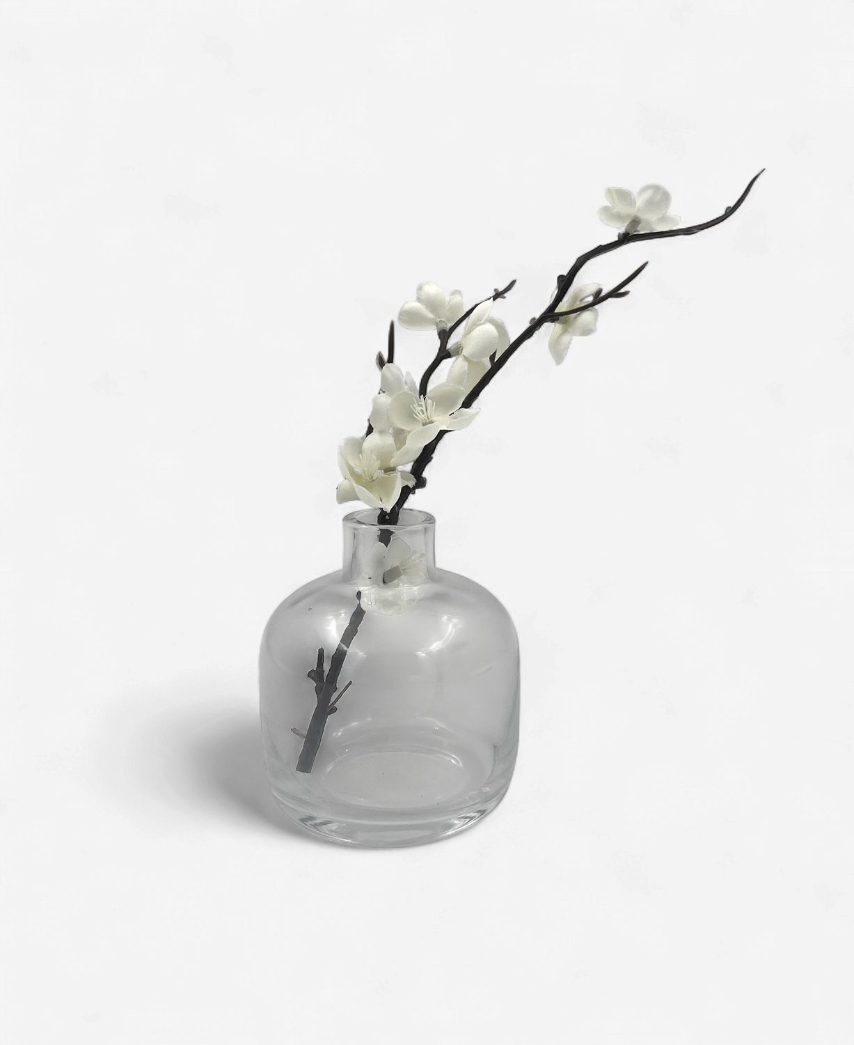 Chim Budvase I
