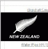 SILVER FERN FLAG